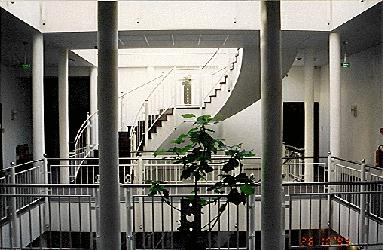IMAGE11